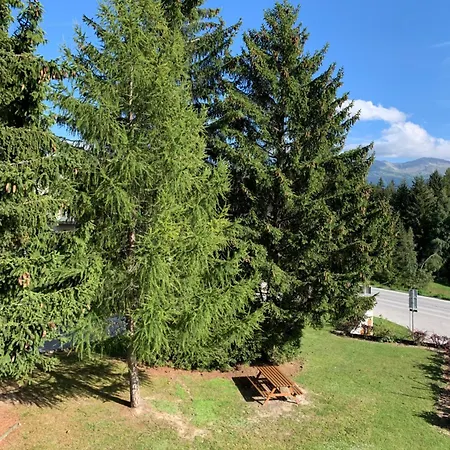 Peak-view *